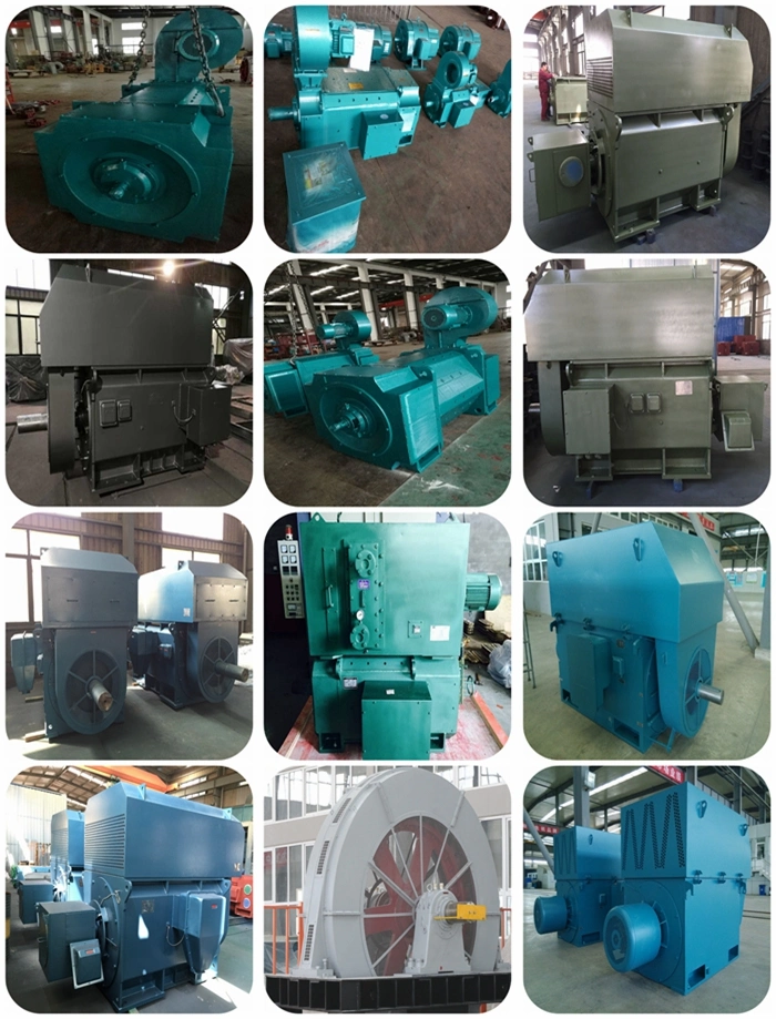 Ylf2 Series Three Phase Asynchronous Motor for Cooling Tower